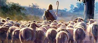good shepherd
